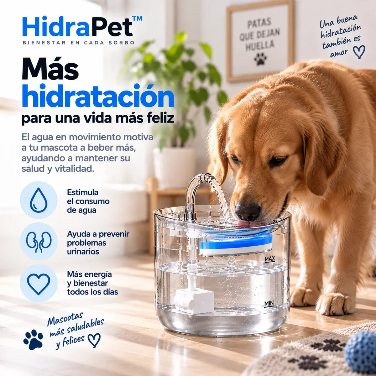 HidraPet™ - Agua limpia y en movimiento